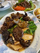 Sea Cucumber & Abalone
