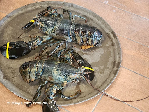 Tan Cang Newport Seafood Restaurant - Garden Grove, CA photo 9